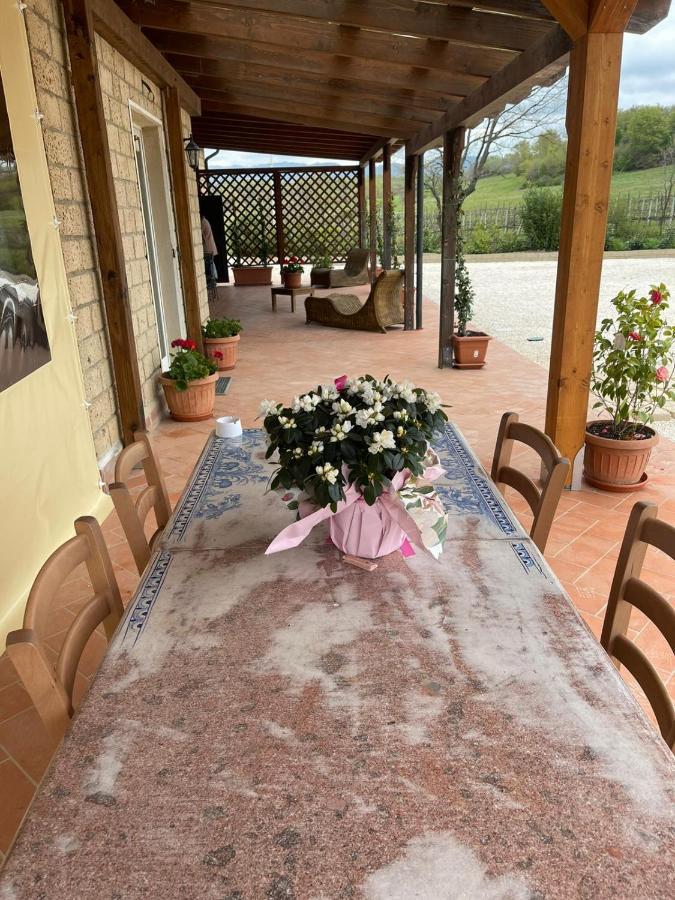 Alloggio per agriturismo Antiglia Sovana