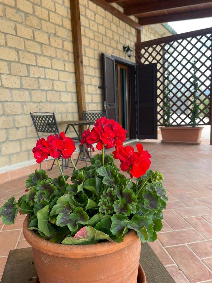 Farm stay Antiglia Sovana